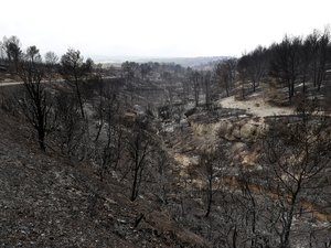 Incendie du siècle dans l’Aude : l’agent de l’ONF mis en examen pour avoir mis le feu involontairement et placé sous contrôle judiciaire