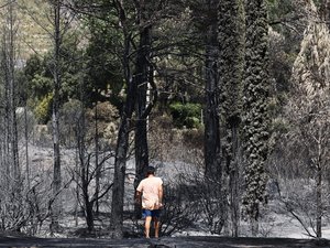 Incendies : le feu n’est toujours pas fixé dans le Var où le 