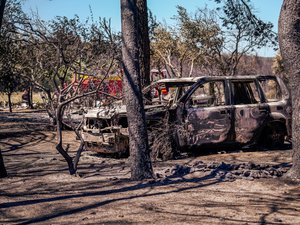 Incendies : feu de sols, de forêts ou de chaumes… qu’est-ce qui brûle le plus vite ?