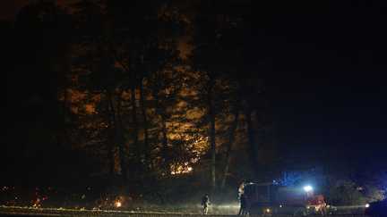 Incendies : les flammes ont déjà parcouru plus de 800 hectares dans la forêt de Fontainebleau, en région parisienne