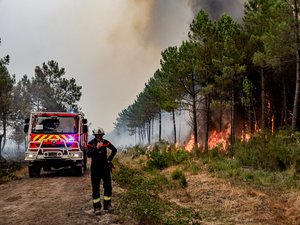 Incendies en Gironde et dans les Landes : Hérault, Gard, Pyrénées-Orientales, Aude… Nos pompiers partis en renfort pour lutter contre