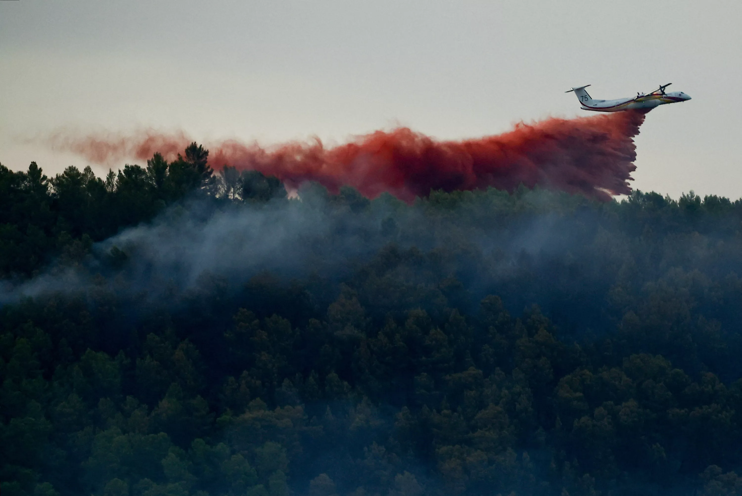 Incendies : jamais, en 20 ans de mesures, autant de surfaces n’ont brûlé en France à la mi-juillet