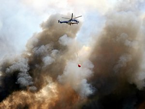 Incendies : pourquoi la tramontane et le mistral sont des vents particulièrement dangereux ?