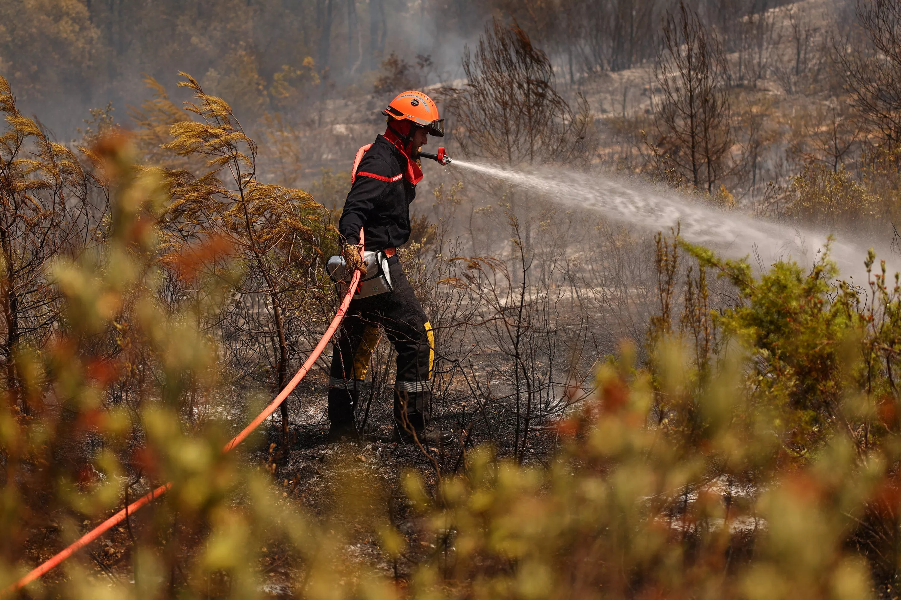 Incendies dans le Var : deux pyromanes présumés interpellés pour avoir déclenché plusieurs départs de feu