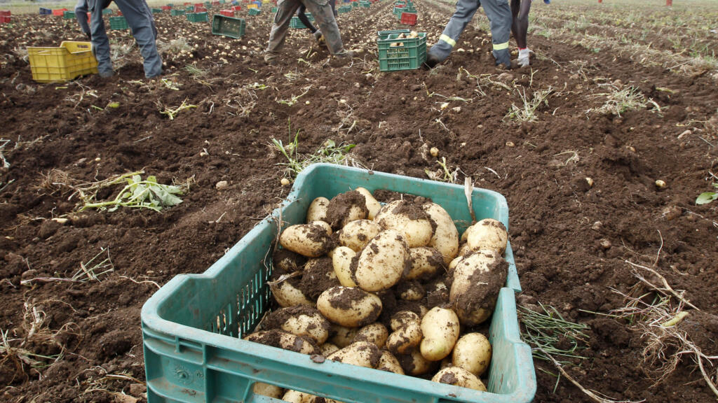 Italie: manifestation de soutien après le meurtre de quatre migrants ouvriers agricoles
