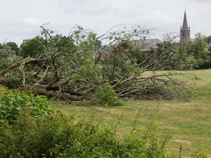 Jusqu’à 40 °C dans le sud de la France : après la canicule historique, les orages et les averses balayent l’Hexagone