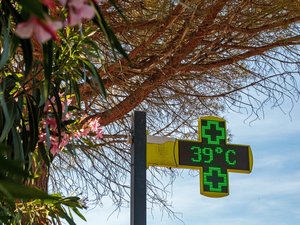 Jusqu’à 9 °C au-dessus des normales : il fait particulièrement chaud dans la région, les températures vont continuer de monter ce week-end