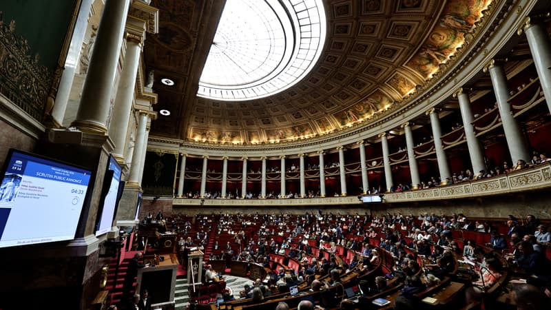 L'Assemblée adopte la loi d'urgence agricole, l'acétamipride pourrait être utilisé par certaines filières en difficulté