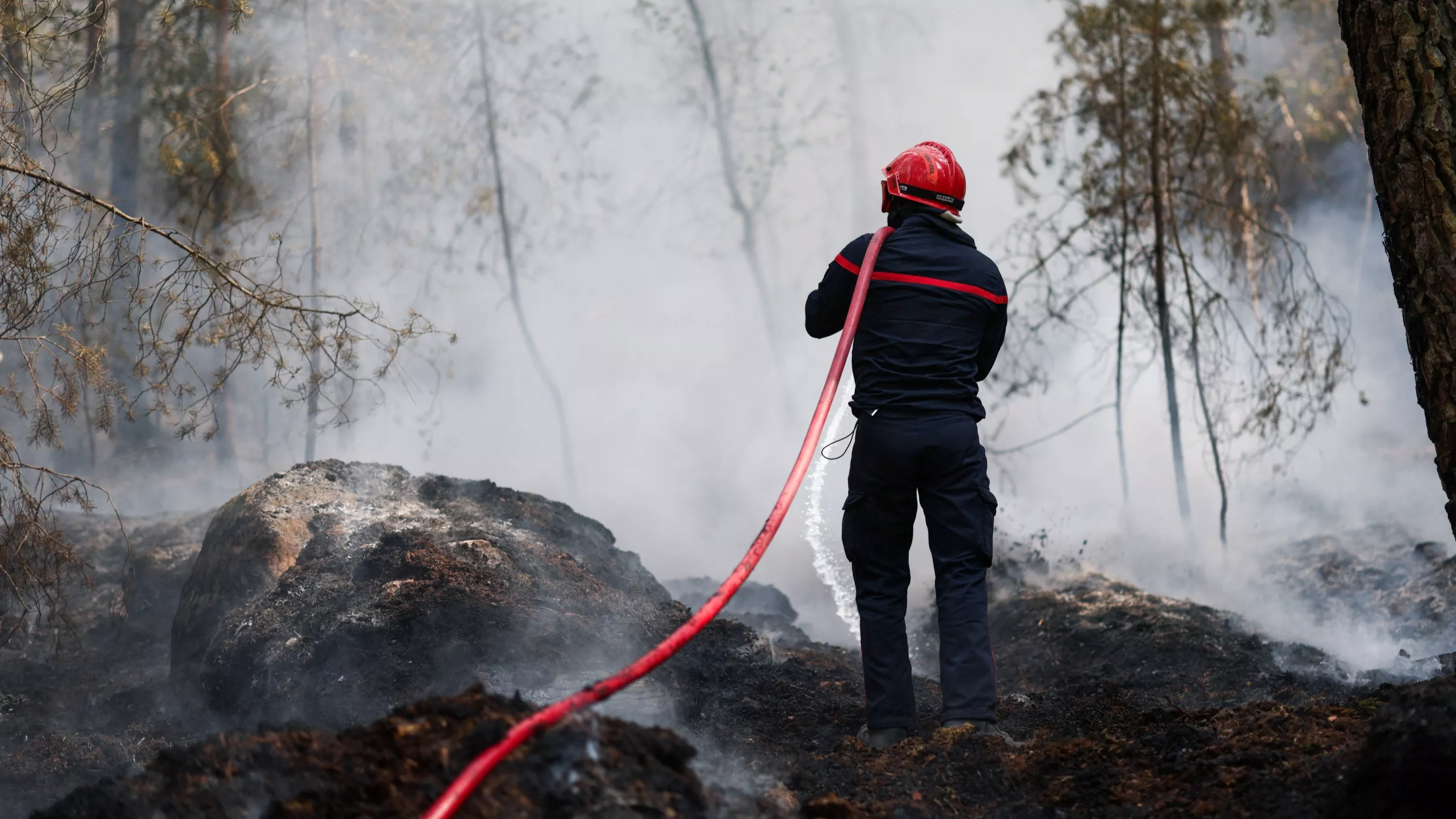 «L’incendie pourrait couver plusieurs mois»: que sont les «feux zombies» qui compliquent la situation à Fontainebleau?