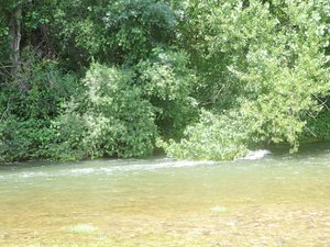 La baignade tourne au drame : un père de famille se noie dans le fleuve Hérault à Tressan, la mère et l’un des enfants sauvés in extremis