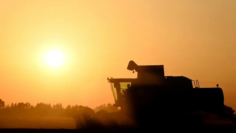 La balance commerciale agricole en