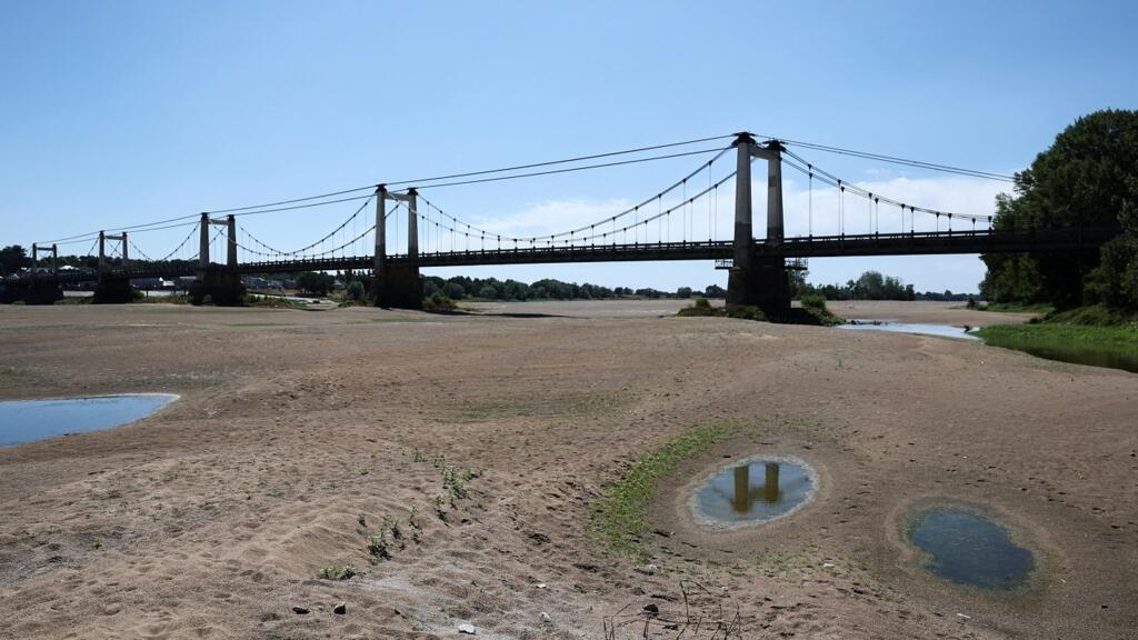 La sécheresse historique en France pourrait constituer un «point de bascule» pour la biodiversité