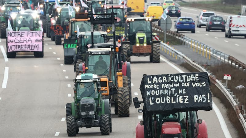 La sécheresse record et les canicules à répétition vont créer des 