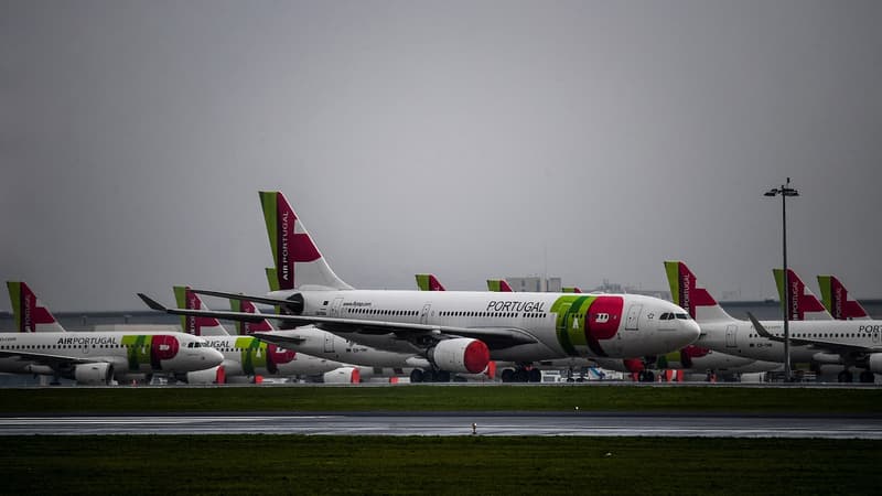 Le gagnant sera connu à la rentrée: Air France-KLM et Lufthansa déposent chacune sur le fil une offre pour acquérir une participation dans la compagnie TAP Air Portugal