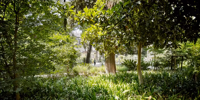 Le Jardin des cinq continents, l’atlas de verdure de Bertrand Lavier à Montpellier