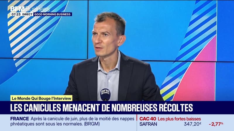 Le monde qui bouge - L'Interview : Les canicules menacent de nombreuses récoltes - 08/07