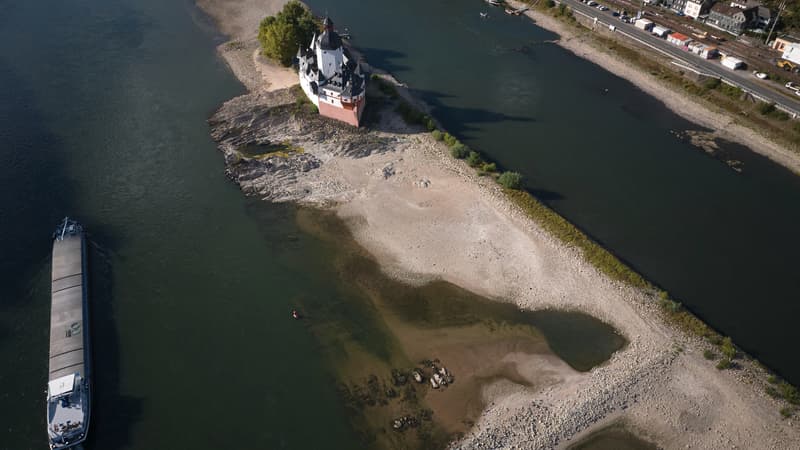 Le Rhin s'assèche et on voit la terre par endroits: l'industrie allemande, ultra-dépendante du fleuve, tente de s'adapter avec des bateaux moins profonds ou du transport par train ou camion