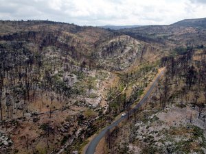 Le risque incendie est élevé dans la région : plusieurs départements d’Occitanie dont l’Hérault et le Gard en vigilance orange