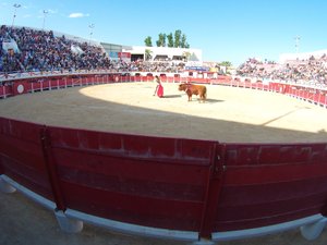 Le tribunal administratif ordonne l’interdiction de la corrida prévue le 10 octobre à Palavas