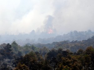 Les conséquences des incendies en Gironde et en Espagne : les fumées arrivées dans l’Hérault sont-elles dangereuses pour la santé ?