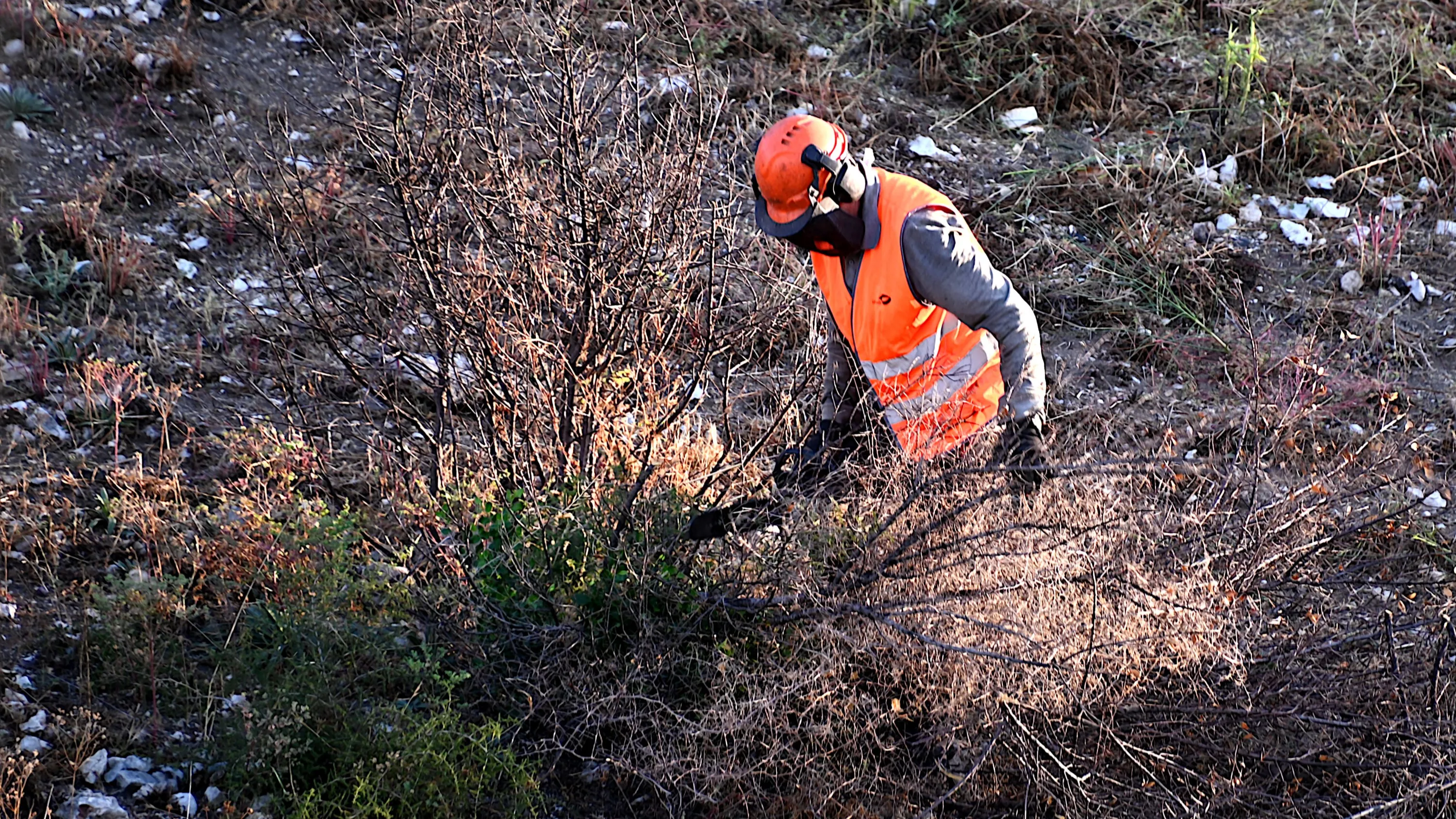«Les flammes ne lisent pas le code de l’environnement» : écologistes contre forestiers, la bataille idéologique du débroussaillement