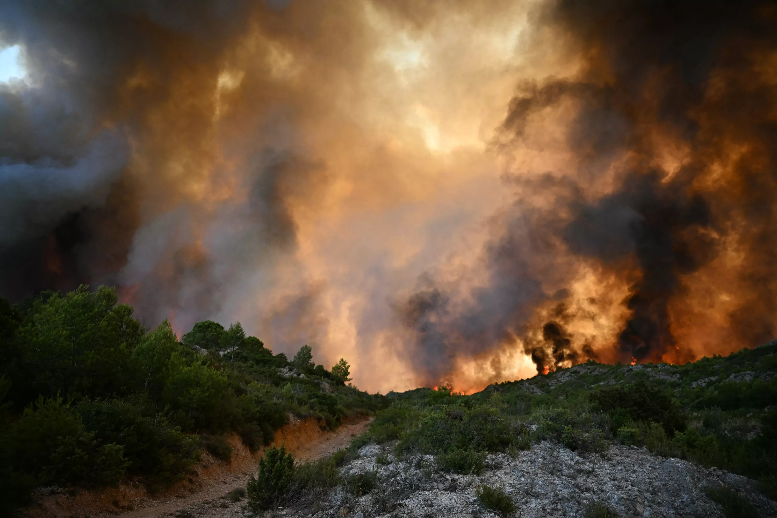 Lot-et-Garonne : des feux de forêt ravagent près de 100 hectares