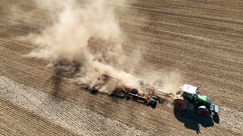 Maïs, pommes de terre, betteraves: comme en France, les agriculteurs allemands craignent aussi des récoltes faibles voire