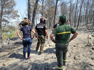 Mégafeu de l’Aude : suspect