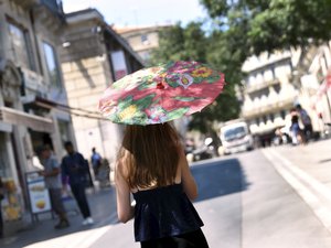 Météo : neuf départements en vigilance rouge canicule, un risque incendie toujours élevé… à quoi s’attendre en France et en Occitanie ce vendredi