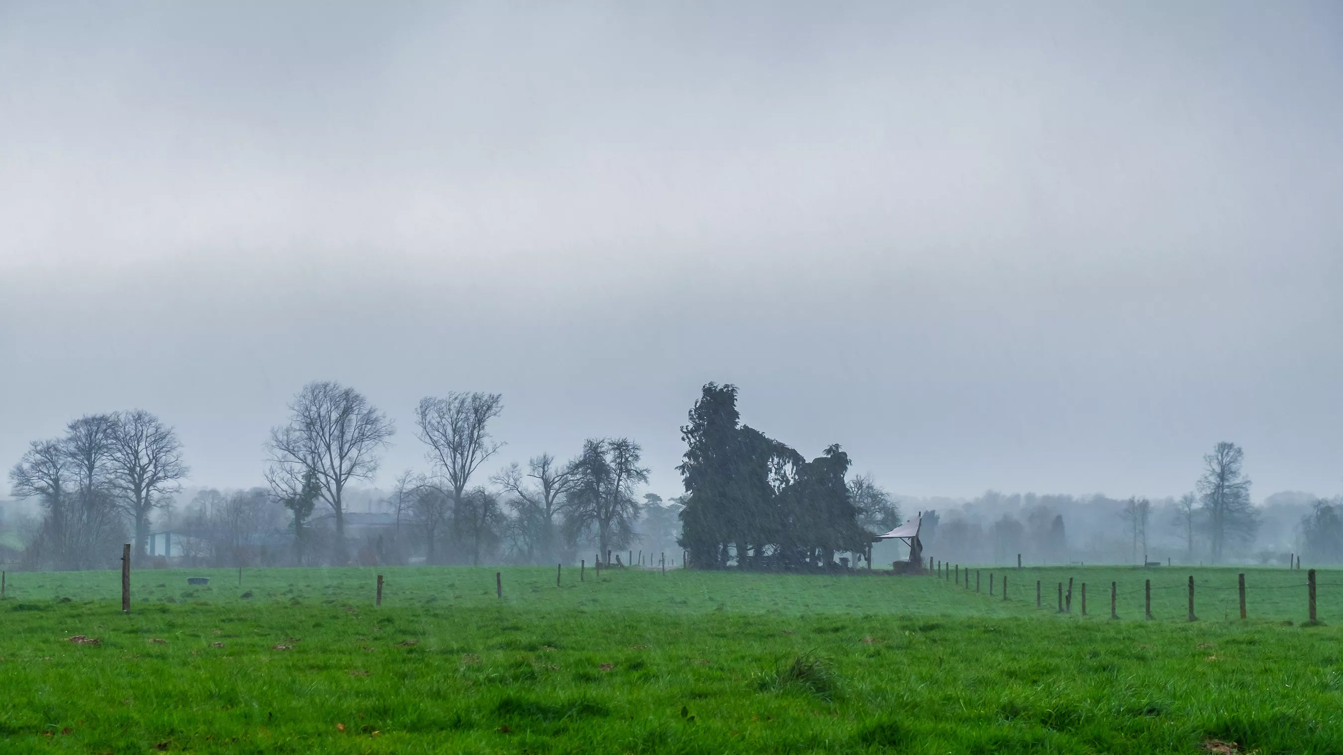Météo du vendredi 31 juillet : du Massif central à l’Alsace, des orages violents avec de la grêle et des fortes rafales