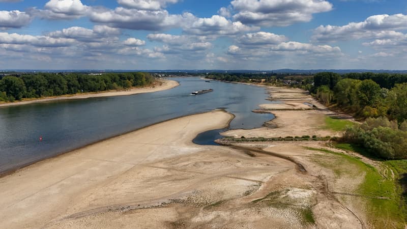 Moins de 10 centimètres d'eau dans le Rhin par endroits: face à la sécheresse, faut-il creuser plus profond dans le lit des fleuves? Le gouvernement allemand se divise sur les conséquences environnementales