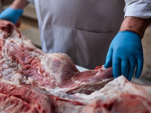 Mort d’Elise, 11 ans, d’une intoxication alimentaire : abattage illicite, recel… six bouchers mis en examen pour homicide involontaire