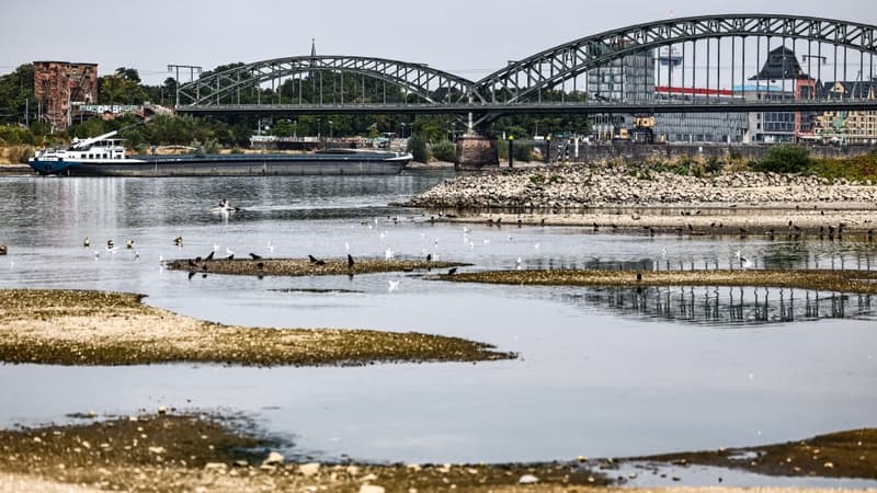 Neuf pays dépendent de lui pour l'eau potable, l'hydroélectricité et le transport: le niveau historiquement bas du Rhin inquiète l'industrie allemande