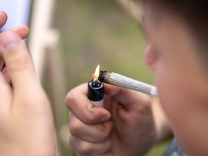 Nouveaux CBD de synthèse : 