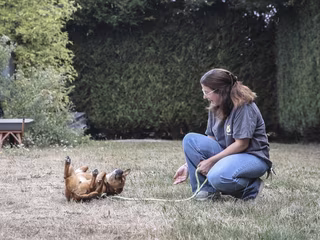 « Offrir une vie sans guerre » : rescapés d’Ukraine, ces animaux trouvent refuge en Normandie en attendant une famille