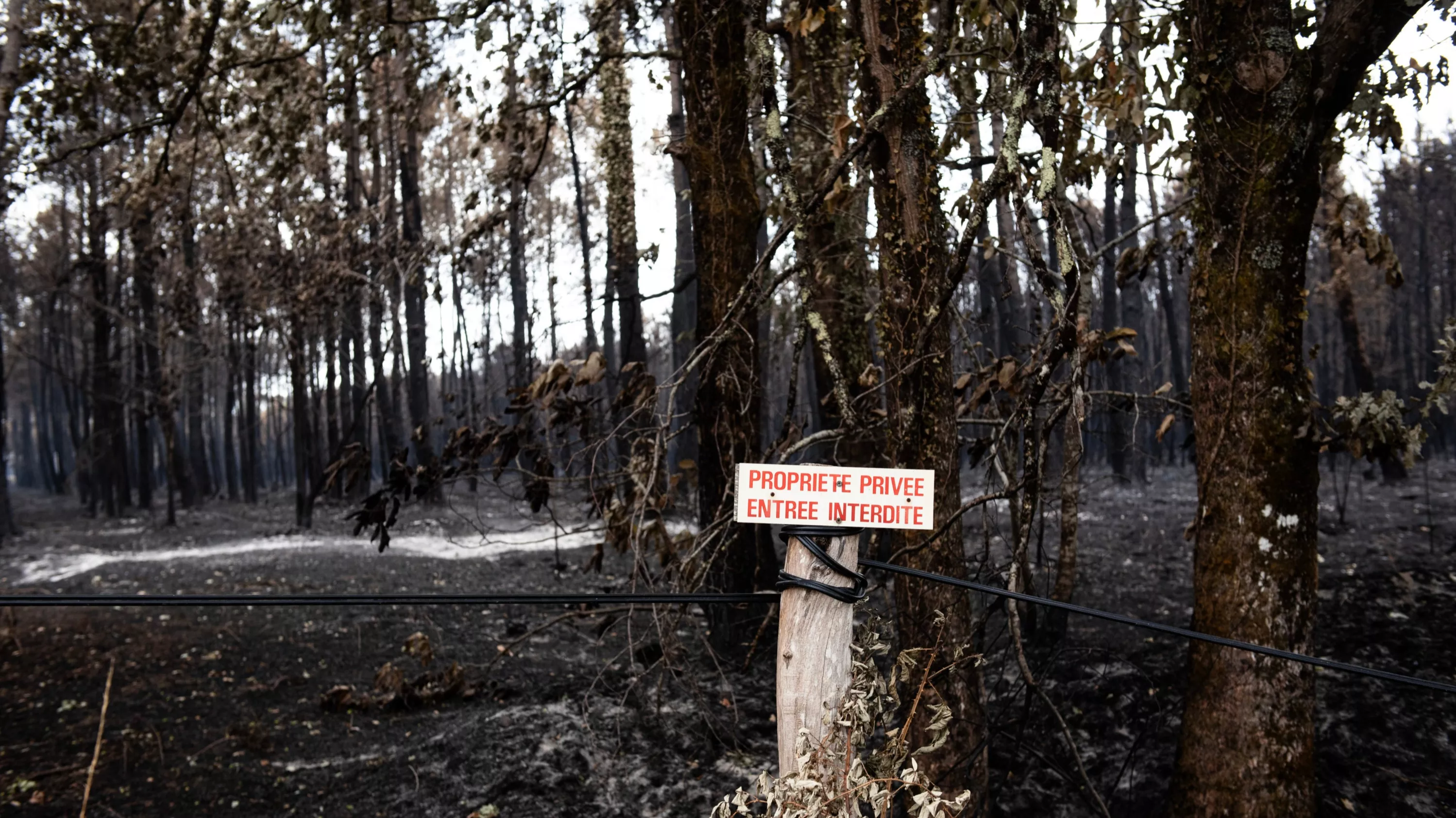 «On est un petit village gaulois» : au Temple, ce bourg encerclé par les flammes miraculeusement épargné