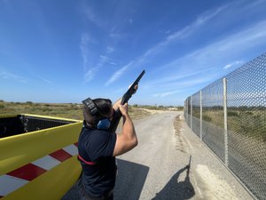 Plus de 100 oiseaux près du tarmac et 70 décollages quotidiens… Comment l’aéroport de Montpellier tente d’éviter les collisions entre les avions et les oiseaux