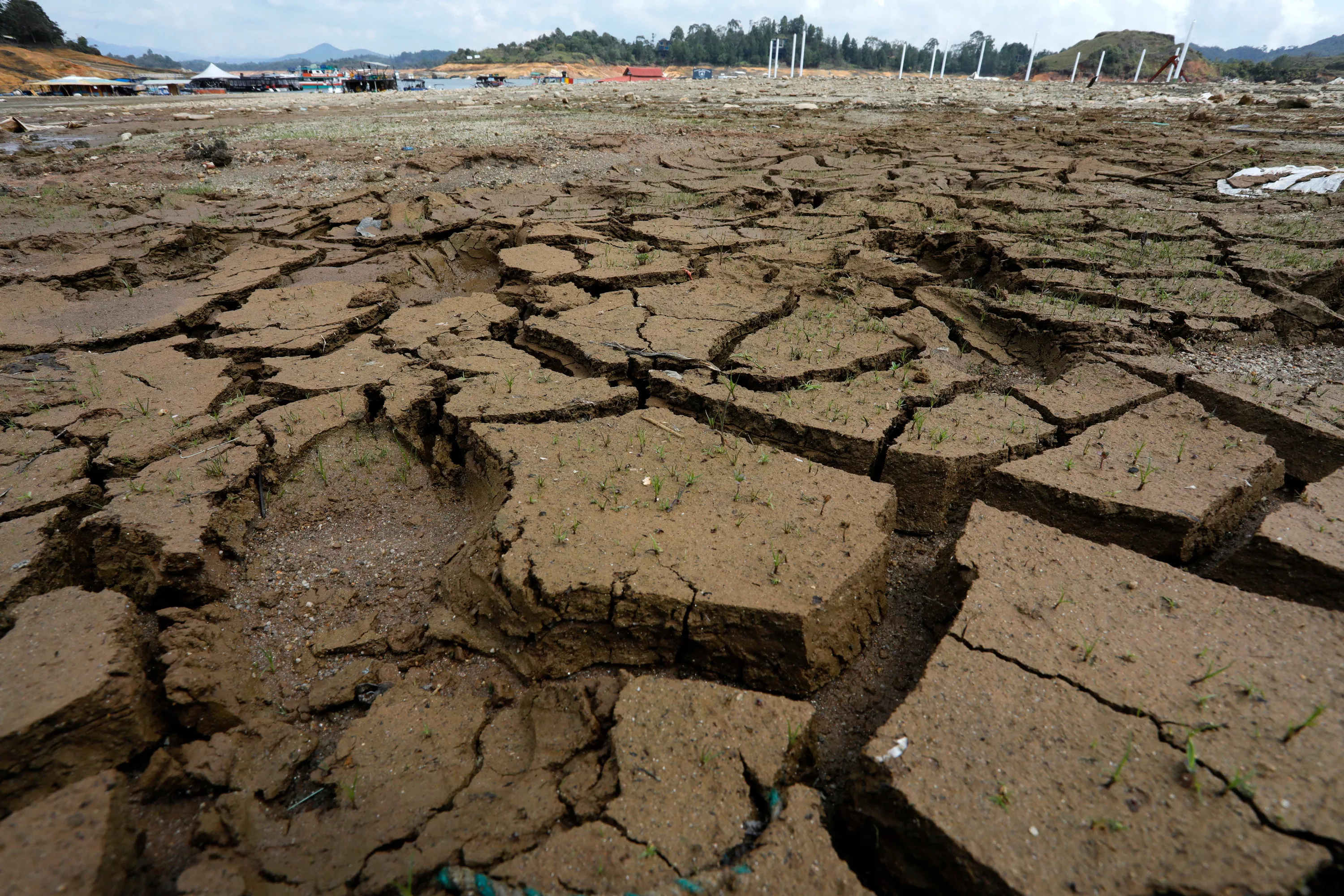 Pourquoi le nouvel El Niño, déjà surnommé «Godzilla», inquiète les climatologues
