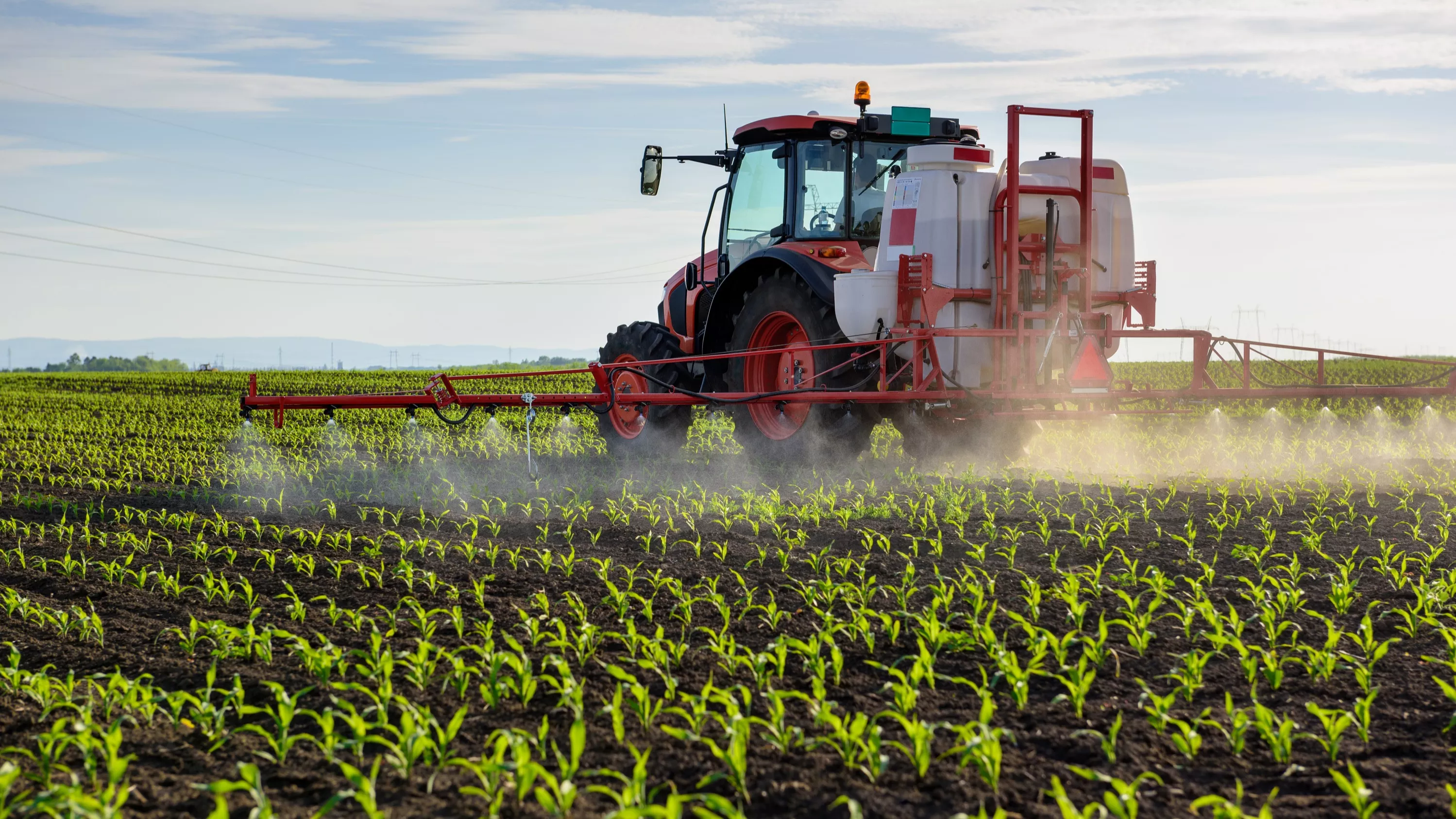 Qu’est-ce que l’acétamipride, ce pesticide réintroduit par la loi d’urgence agricole ?