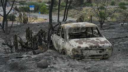 Que s'est-il passé lors de l'incendie qui a fait 12 morts et plusieurs disparusdans le sud de l'Espagne ?