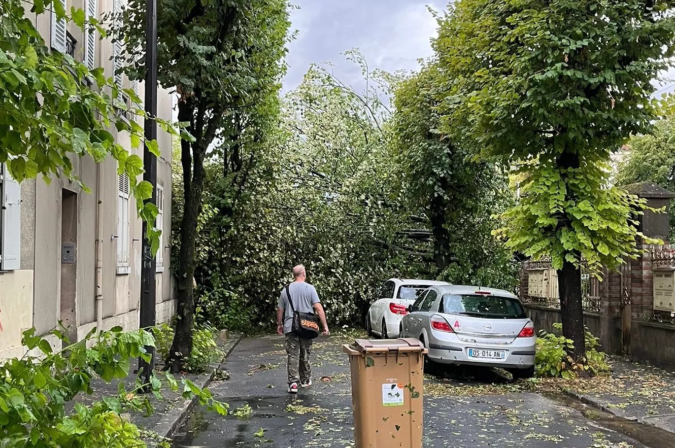 Rafales de vent à 142 km/h, grêle, chutes d’arbres : les images impressionnantes des orages qui ont balayé l’Île-de-France
