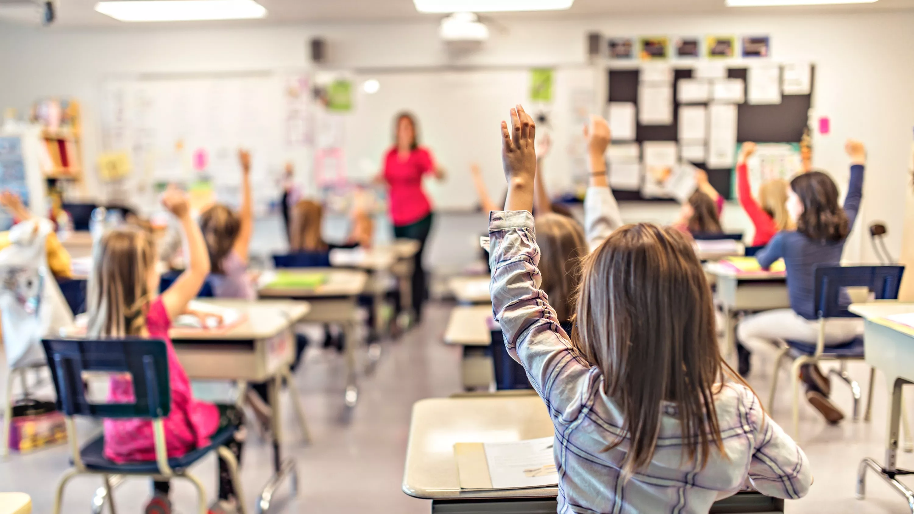 Rentrée scolaire 2026 : Interdiction du portable au lycée, questionnaire sur les violences sexuelles... Les nouveautés attendues dans les établissements
