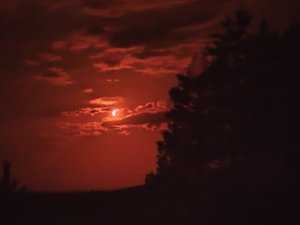 REPLAY Éclipse solaire : une demande en mariage à Montpellier, un paysage orangé à Sète… revivez le phénomène dans la région