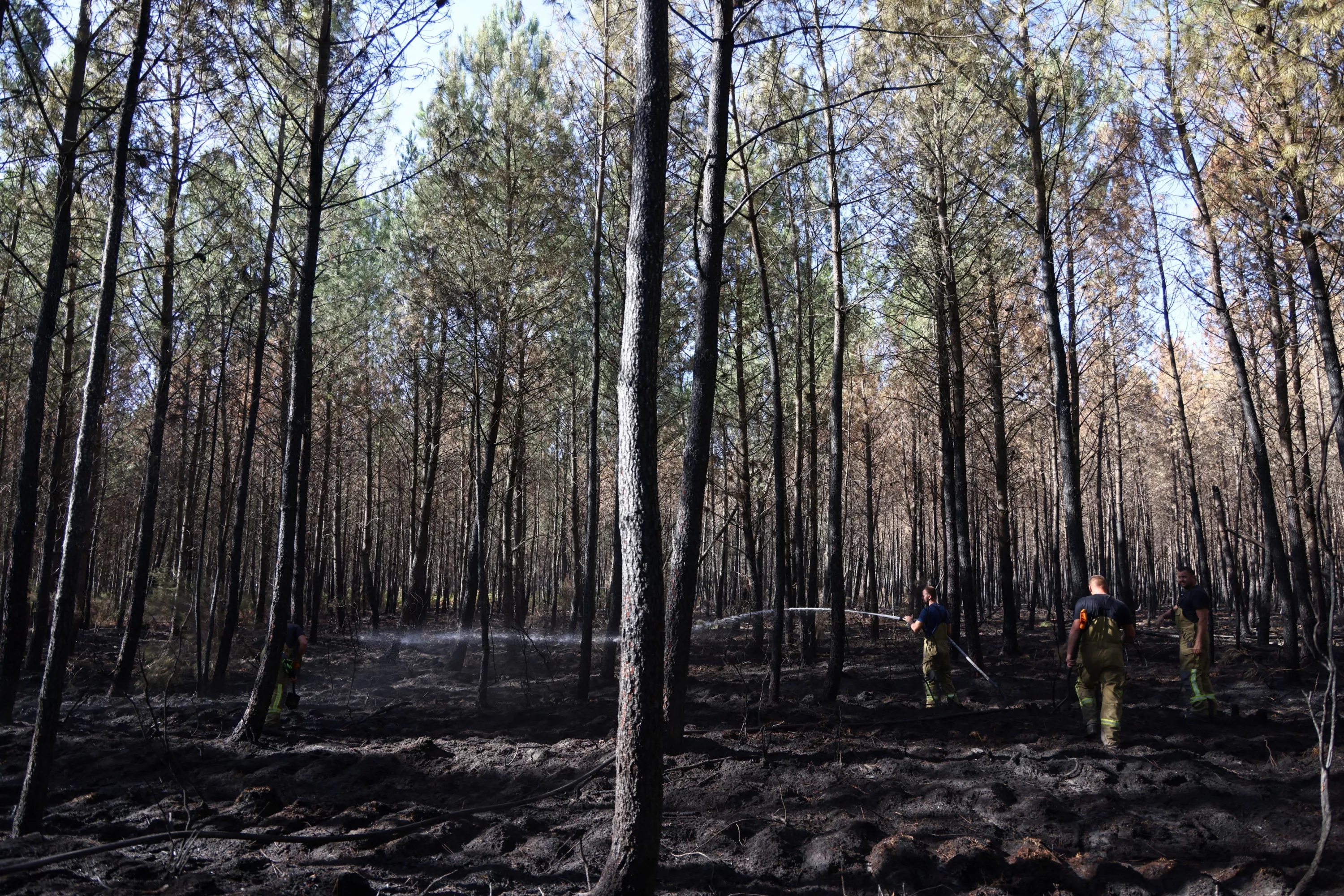 Risque de feux de forêt : la Gironde à nouveau en vigilance rouge ce samedi