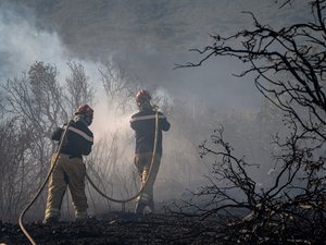 Risque très sévère d’incendie pour 252 communes du Gard : l’accès aux massifs interdit ce lundi, des vents forts attendus