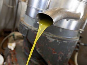 Sécheresse, incendies, chaleur… pourquoi le prix de l’huile d’olive risque d’exploser dès la fin de l’été