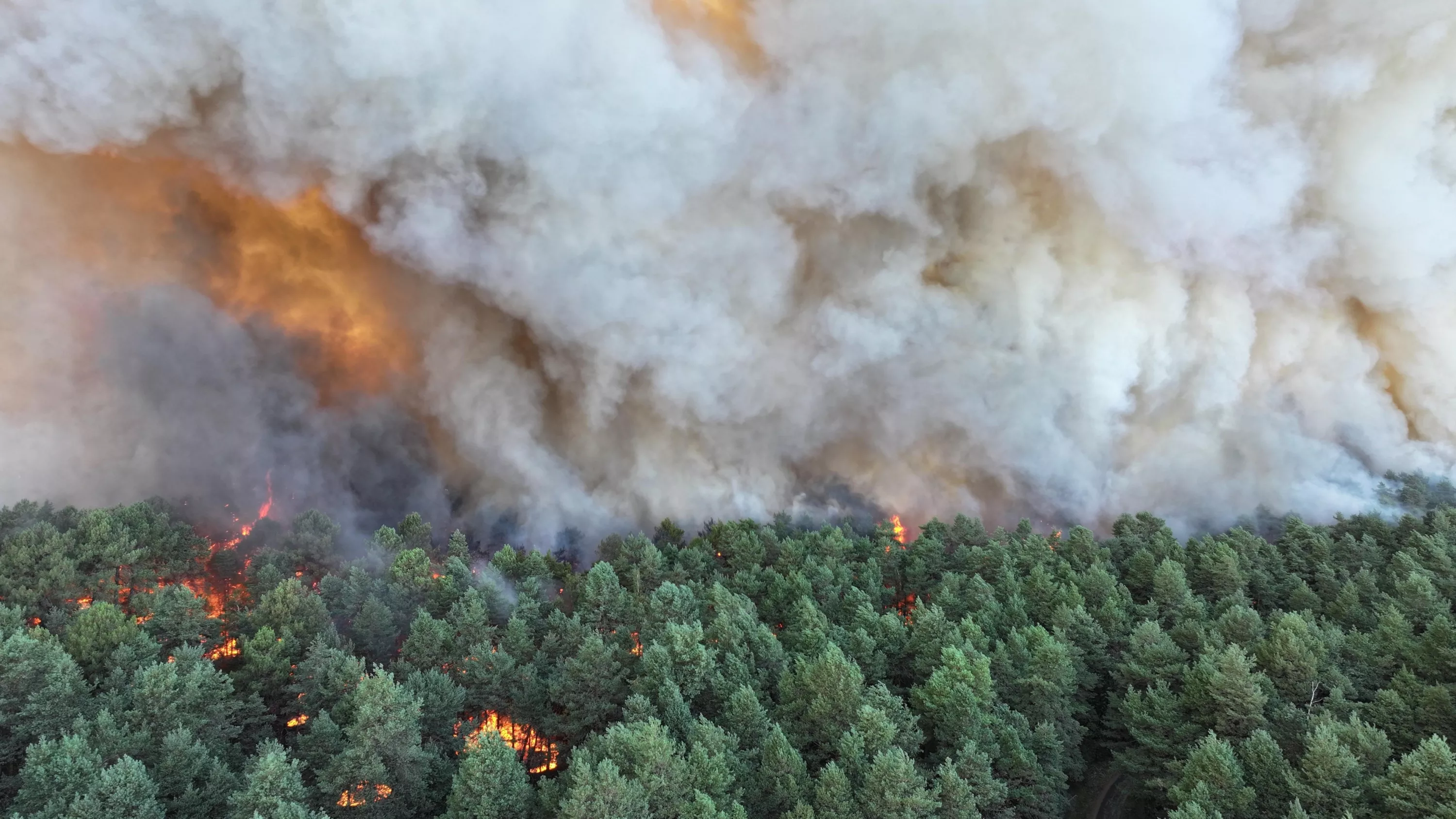 Seine-et-Marne : un incendie «très virulent» ravage 16 hectares près de l'autoroute A6 en partie fermée, deux avions bombardiers d'eau envoyés