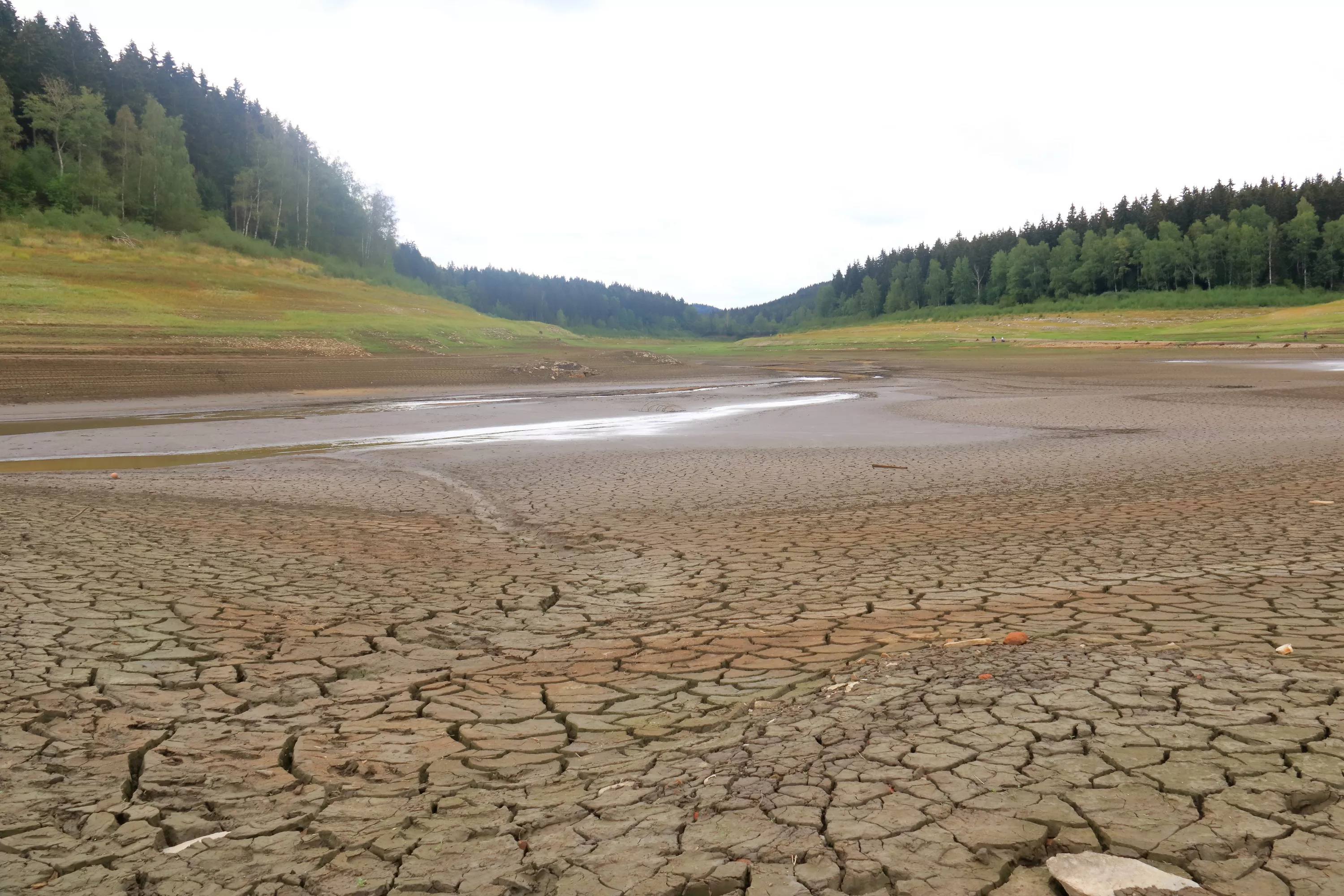 Températures, retour d’El Niño... Vers une nouvelle série d’années record pour le climat d’ici 2030