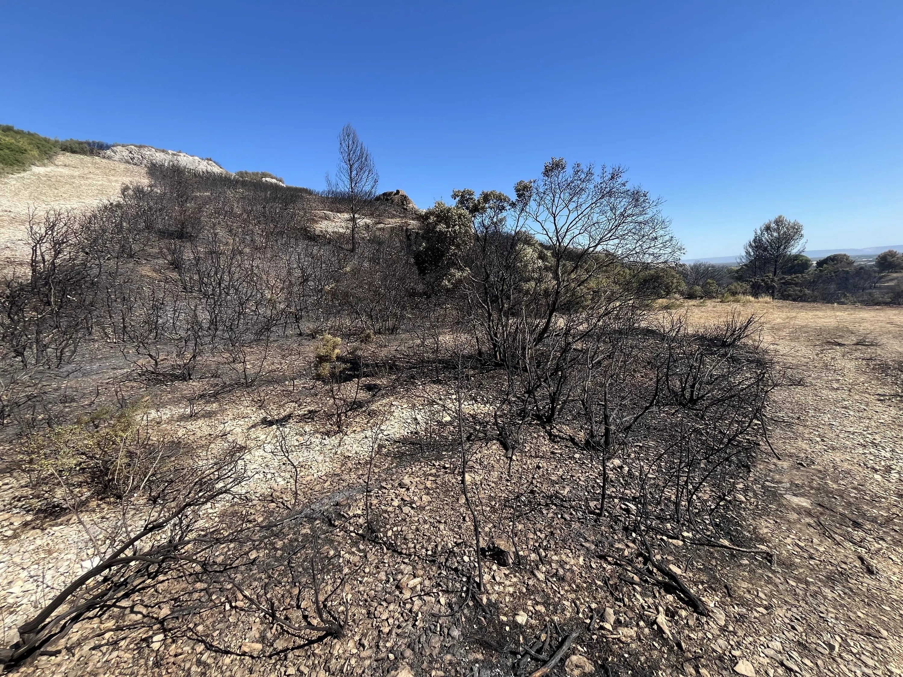 « Tout le monde est à l’affût » : à Lançon-Provence, les pompiers sur le qui-vive face au risque de reprise du feu
