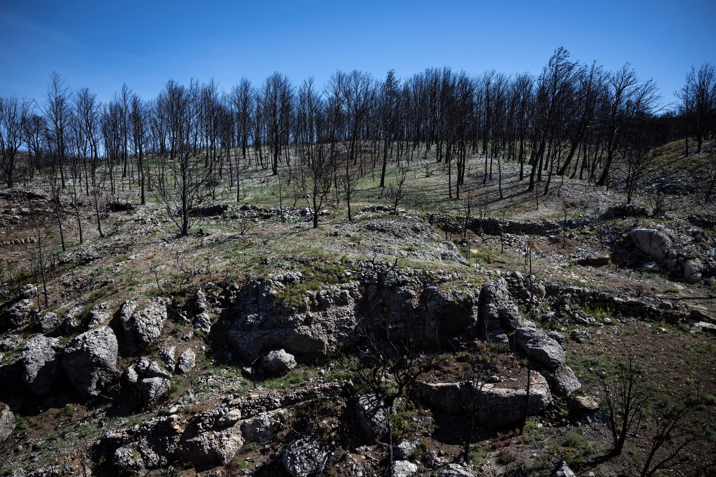 Trois agents de l’ONF placés en garde à vue dans l’enquête sur le gigantesque incendie dans l’Aude en 2025